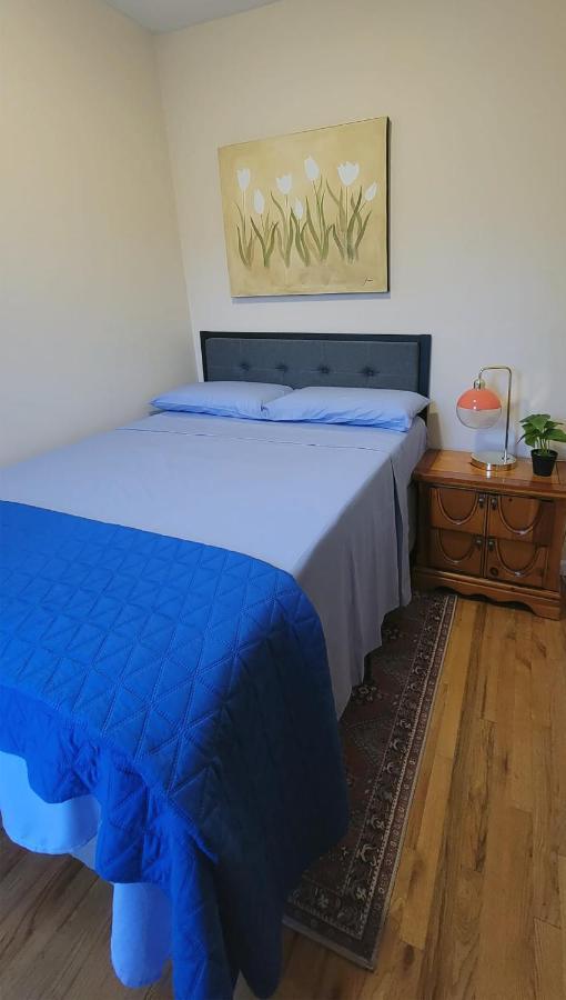 Bright & Cozy East Williamsburg 2 Bedroom New York Luaran gambar